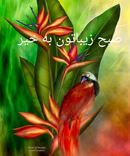صبح بخیر با عکس پرندگان