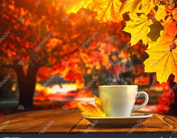 عکس پاییز با قهوه
