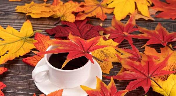 عکس فنجان قهوه و پاییز