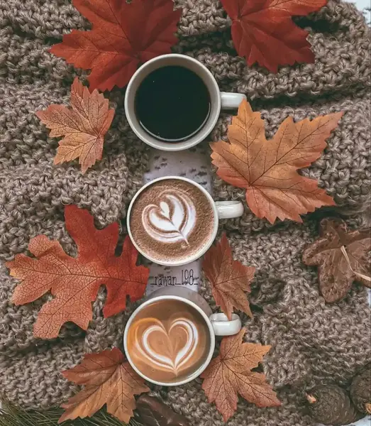 عکس فنجان قهوه و پاییز