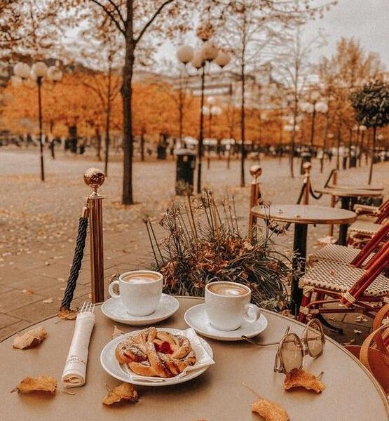 عکس صبحانه در طبیعت پاییزی