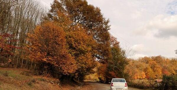 عکس خداحافظ پاییز