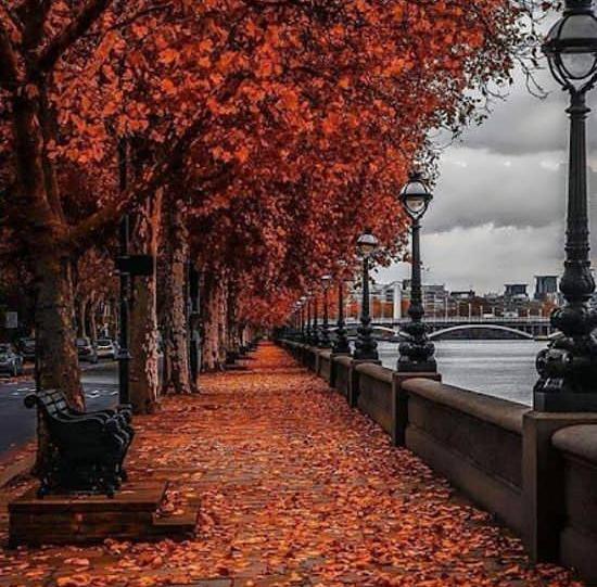 عکس های زیبا پاییز