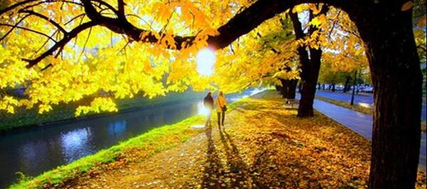 عکس زیبای فصل پاییز