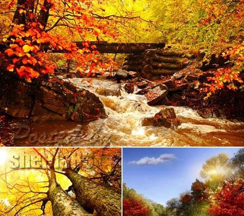زیباترین عکس پاییزی دنیا