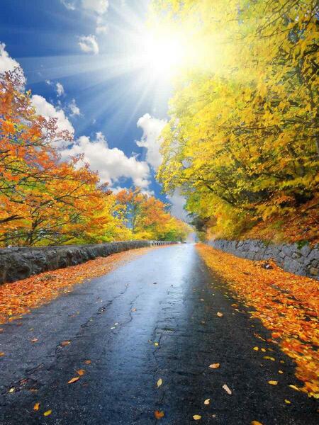 زیباترین عکس های پاییزی