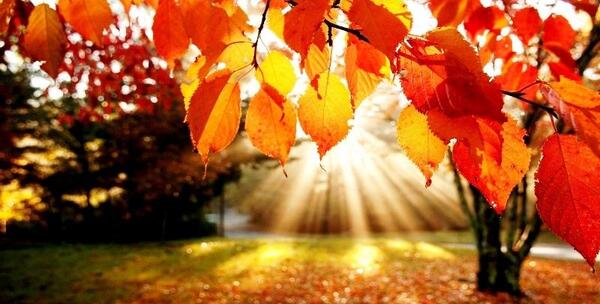 عکس زیبا فصل پاییز