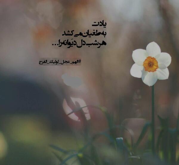 عکس خام امام زمانی
