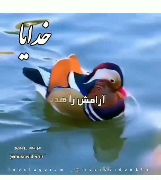 عکس خام برای استوری صبح بخیر