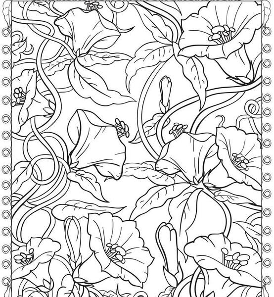 عکس خام برای طراحی