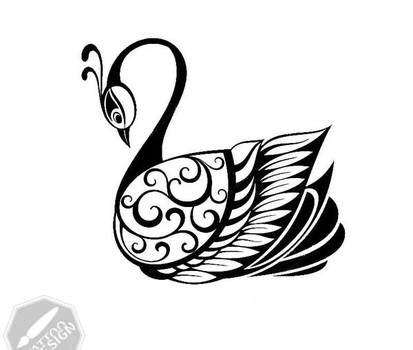 عکس طرح خام پرنده