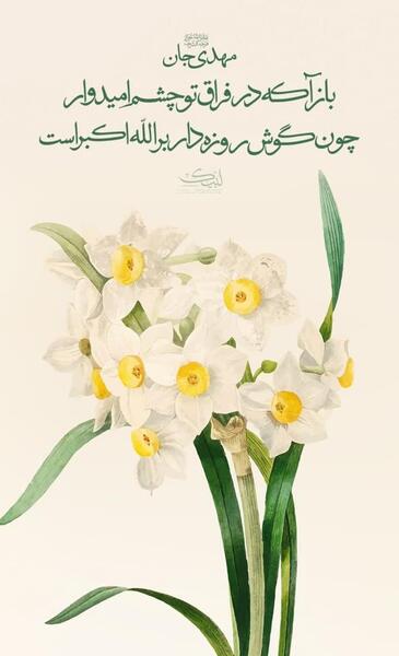عکس خام گل نرگس