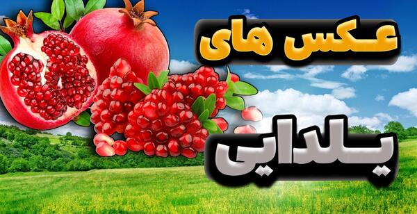 عکس خام یلدا برای ادیت