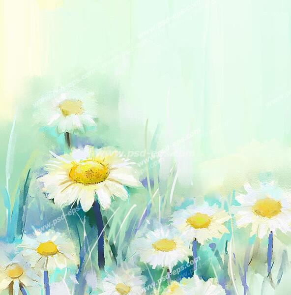 عکس بک گراند گل بابونه