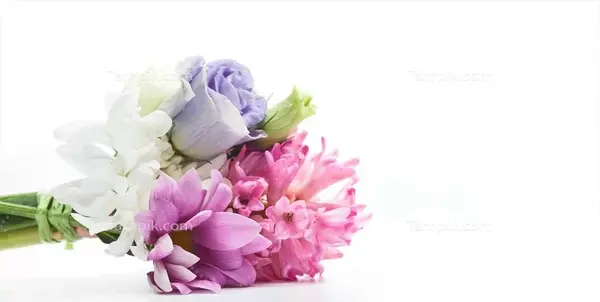 عکس بک گراند گل بنفش