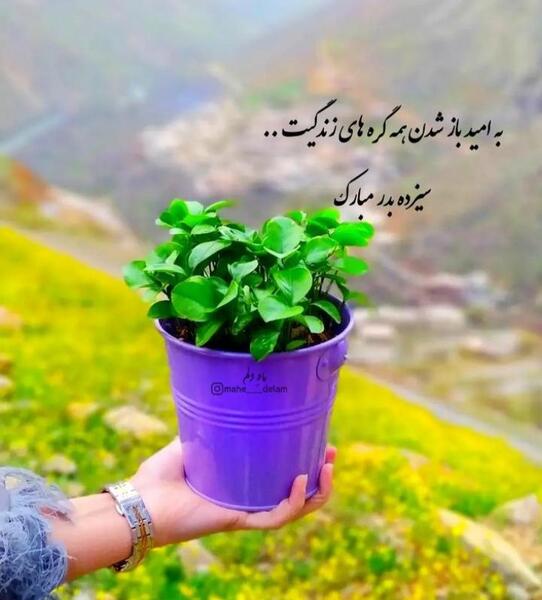 عکس برای استوری از طبیعت