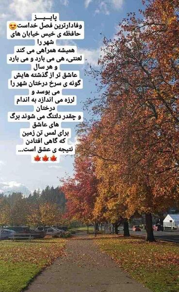 عکس برای استوری از طبیعت
