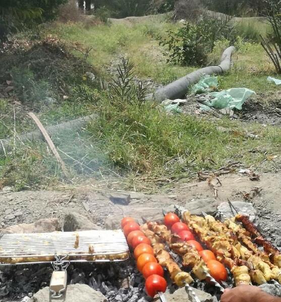 عکس استوری سیزده بدر
