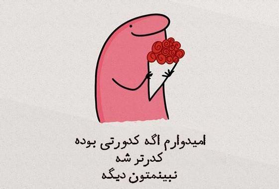 عکس سرکاری برای استوری