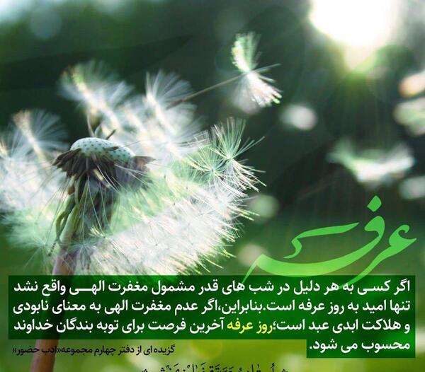 عکس استوری برای روز عرفه