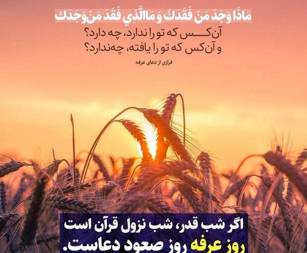 عکس استوری برای روز عرفه
