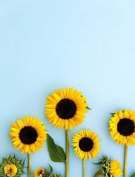 عکس بک گراند برای متن نوشته