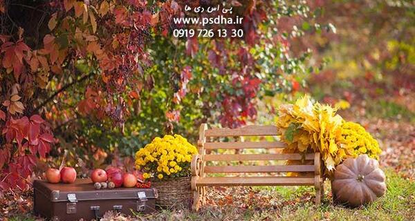دانلود عکس بک گراند پاییزی