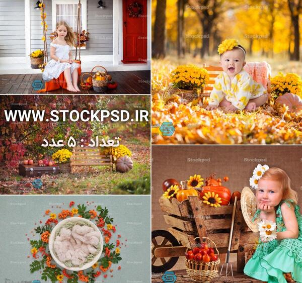 دانلود عکس بک گراند پاییزی