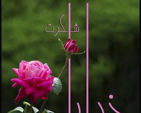 عکس خدایا شکرت برای بک گراند گوشی