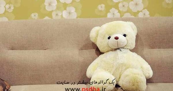 عکس بک گراند خرسی