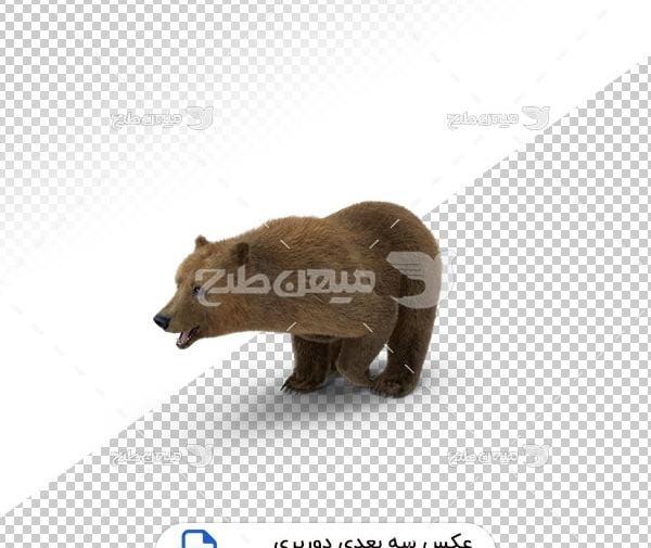 عکس بک گراند خرس قهوه ای