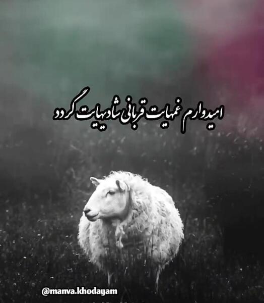 عکس عید قربان مبارک برای وضعیت واتساپ