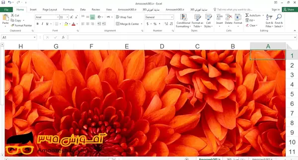 برداشتن بک گراند عکس در ورد