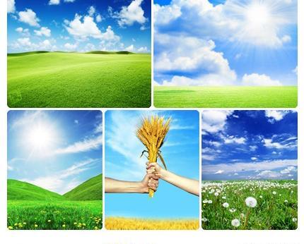 عکس بک گراند سبز طبیعت