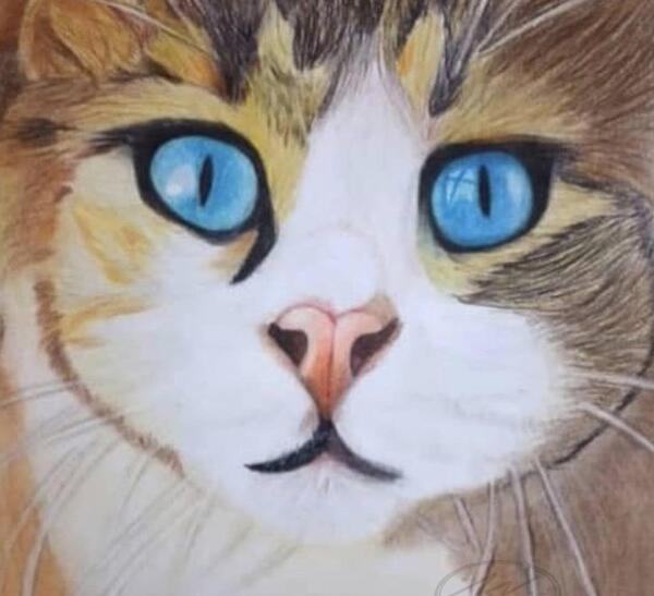 عکس ایده نقاشی سخت مداد رنگی
