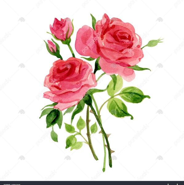 عکس ایده نقاشی گل با آبرنگ
