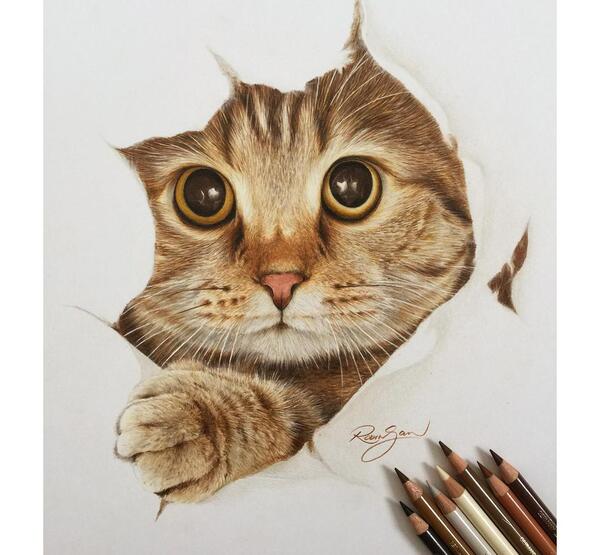 عکس ایده برای نقاشی گربه