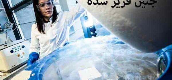 ایده عکس فریز شده