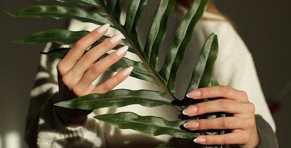 ایده عکس برداری از ناخن