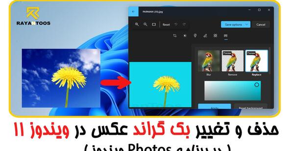 حذف بک گراند عکس در ویندوز 10