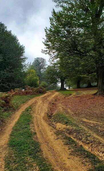 عکس طبیعت زیبا برای بک گراند