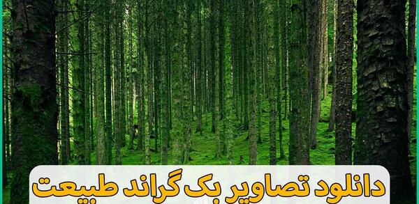 عکس بک گراند گوشی طبیعت