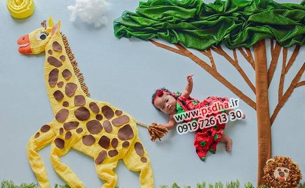 عکس زرافه برای بک گراند