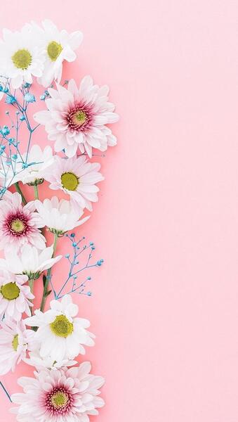 عکس جدید برای بک گراند