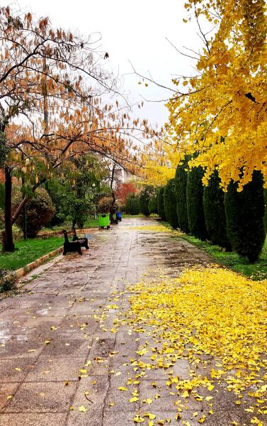 عکس پزشکی برای بک گراند گوشی