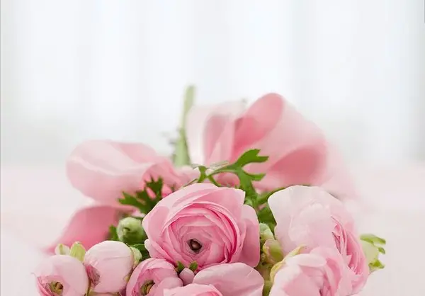 عکس پروفایل گل وسط خالی