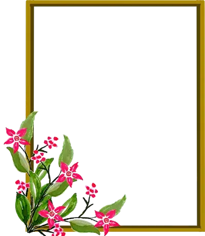 عکس از گالری خالی