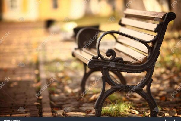 عکس صندلی خالی در پاییز