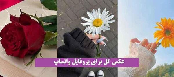 عکس پروفایل خالی واتساپ رنگی