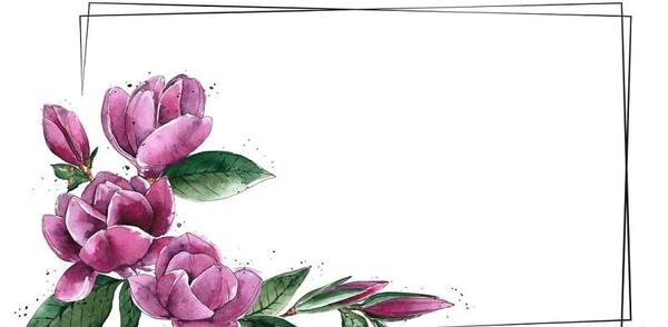 عکس گل خام برای نقاشی
